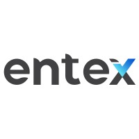 ENTEX Logic Logo