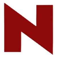 Nile Youth for Internet Solutions Logo