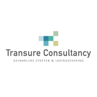 Transure Consultancy Logo