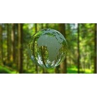 European International Business Academy (EIBA) Logo