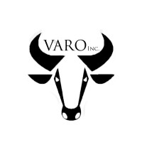 Varo-Real Investments INc Logo