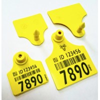 ZORYA ANIMAL ID Logo