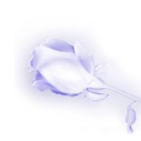 Silver Rose Entertainment Logo