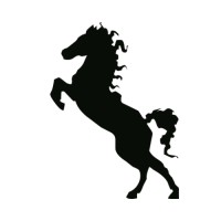 Continuity - Junis Boutique Consulting Firm Logo
