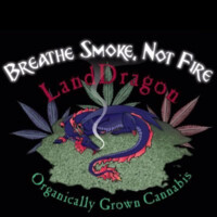 LandDragon LLC Logo