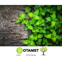 Botanist of The Valley Logo
