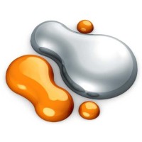 Radisens Diagnostics Logo