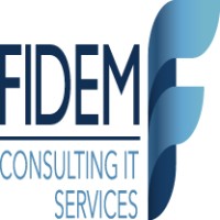 FIDEM Consulting IT Services Logo