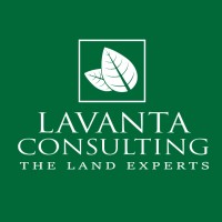 Lavanta Consulting Logo