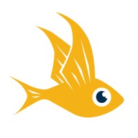 Flying Fish | Digital Analytics Logo