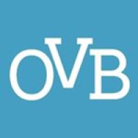Our Visual Brain Logo