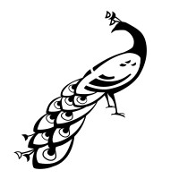 Iridescence LLC Logo