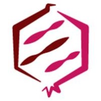 Persephone Software Logo