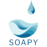 Soapy - Clean Data, Clean Hands Logo