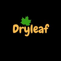 Dryleaf Logo