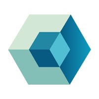 The Demographics Group Logo