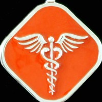 Quoll Medical Alerts Logo