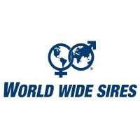 World Wide Sires B-NL Logo