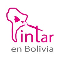 Pintar en Bolivia Logo