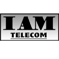 Intelligent Asset Management, Inc. Logo