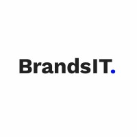 BrandsIT Logo