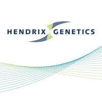 Hendrix Genetics Layers Logo