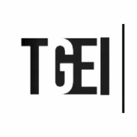 Tomerro Group Enterprises Inc Logo