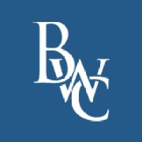 Blue Waters Consulting Logo