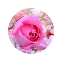 Taste Of Life Kenya Logo