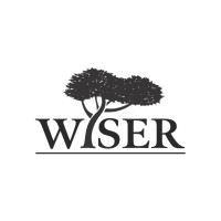 WISER International Logo