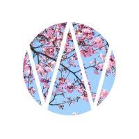Wunderman South Africa Logo