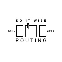Do It Wise, LLC. Logo