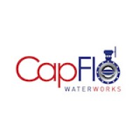CapFlo Capital Flow Logo