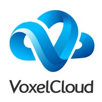 VoxelCloud Logo