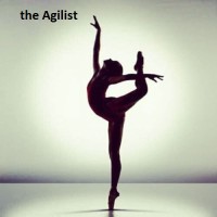 the Agilist llc Logo