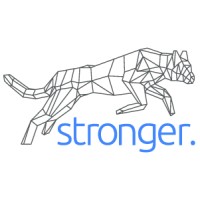 Stronger International Logo
