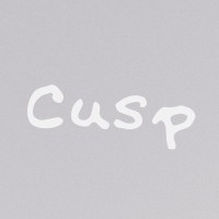 Cusp Limited Logo
