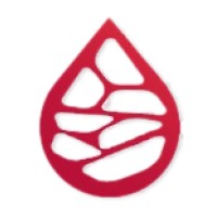Plexus Haematology Logo