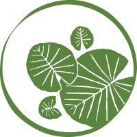 The Lily Pad at Byron Logo