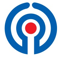 The Icon Group Congo Logo