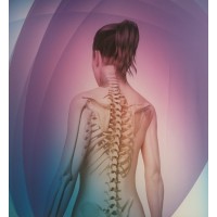 School voor Manuele Therapie Utrecht Logo