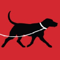 Dogs of Distinction Canine Training Inc Logo