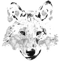 DeWolf Software Logo