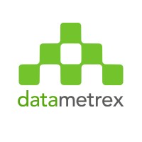 Datametrex AI Ltd. Logo