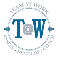 Team @ Work, LLC Logo
