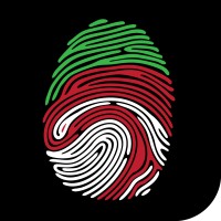 Brand Immersion LLP Logo