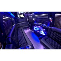 Serpentine Limo Logo