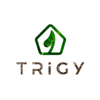 TRiGY Logo