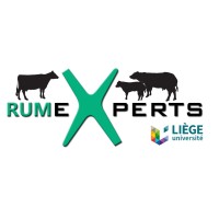 RumeXperts Logo