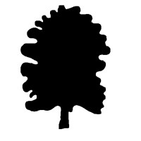 HICKORY TREE - Agentur für Marketing und Kommunikation Logo